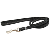 Sprenger Rubberized Leash with Handle СПРЕНГЕР ПРОГУМОВАНИЙ ПОВІДЕЦЬ із ручкою для собак , Чорний см., 1,9х200 см см.