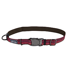 Coastal K9 Explorer Collar КОСТАЛ К9 ЕКСПЛОРЕР світловідбивний нашийник для собак, 2.5х30-46см , Малиновий см., 2,5 x 30-46 см см.