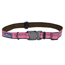 Coastal K9 Explorer Collar КОСТАЛ К9 ЕКСПЛОРЕР світловідбивний нашийник для собак, 2.5х46-66см , Рожевий см., 2,5 x 46-66 см см.