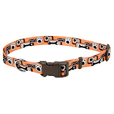 Coastal Pet Attire Styles КОСТАЛ СТАЙЛС нашийник для собак, 1х12-30см , Помаранчева кістка см., 1см х 12-30см см.
