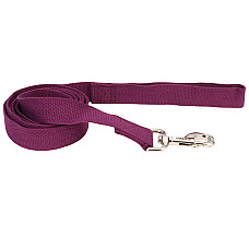 Coastal New Earth Soy Dog Leash КОСТАЛ СОЄВИЙ ЕКОПОВІДЕЦЬ для собак , Фіолетовий см., 1,6см х 1,83 м см.