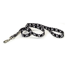 Coastal Pet Attire Styles КОСТАЛ СТАЙЛС повідець для собак, 2.5смХ1.2м , Череп см.