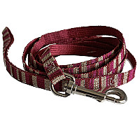 Coastal Pet Attire Weave КОСТАЛ повідець для собак, 1смХ1.8м , Смужка см.