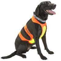 Coastal for Hunting Dogs КОСТАЛ НАГРУДНАЯ ЗАЩИТА для охотничьих собак, Оранжевый кг., L кг., для собак 28-39 кг.