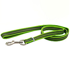 Sprenger Rubberized Leash with Handle СПРЕНГЕР ПРОГУМОВАНИЙ ПОВІДЕЦЬ із ручкою для собак , Зелений см., 1,9х200 см см.