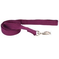 Coastal New Earth Soy Dog Leash КОСТАЛ СОЄВИЙ ЕКОПОВІДЕЦЬ для собак , Фіолетовий см., 2,5см х 1,83 м см.