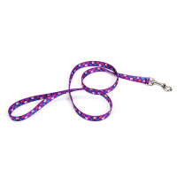 Coastal Pet Attire Styles КОСТАЛ СТАЙЛС поводок для собак, 2.5смХ1.2м, Лапки см.