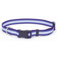 Coastal Trendz Graduated КОСТАЛ ГРАДІЄНТ нашийник для собак, 1х30см , Пурпурний см.