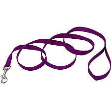 Coastal Nylon Training КОСТАЛ НАЙЛОН повідець для собак, нейлон , Пурпурний см., 2,5см x 1,8м см.