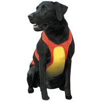 Coastal for Hunting Dogs КОСТАЛ НАГРУДНАЯ ЗАЩИТА для охотничьих собак, Оранжевый см., средний см., для собак 16-27 кг см. Coastal for Hunting Dogs
