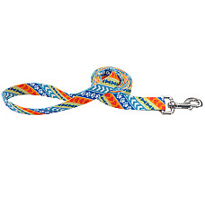 Coastal Pet Attire КОСТАЛ повідець для собак , Рескю см., 1 смХ1,8 м см.