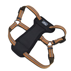 Coastal K9 Explorer Harness КОСТАЛ К9 ЕКСПЛОРЕР світловідбивна шлея з нагрудником для собак 11.3-22.6кг , Полум’я см., 2,5 х 50,8-76,2 см см., для собак 11,3-22,6 кг см.