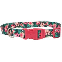 Coastal Pet Attire Styles КОСТАЛ СТАЙЛС ошейник для собак, 1х12-30см, Тропические цветы см., 1см х 12-30см.
