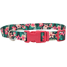 Coastal Pet Attire Styles КОСТАЛ СТАЙЛС нашийник для собак, 1х12-30см , Тропічні квіти см., 1см х 12-30см см.