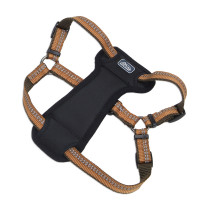Coastal K9 Explorer Harness КОСТАЛ К9 ЕКСПЛОРЕР світловідбивна шлея з нагрудником для собак 2.3-4.5кг , Полум’я см., 1,6 х 30-45 см см., для собак 2,3-4,5 кг см.