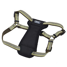 Coastal K9 Explorer Harness КОСТАЛ К9 ЕКСПЛОРЕР світловідбивна шлея з нагрудником для собак 11.3-22.6кг , Папороть см., 2,5 х 50,8-76,2 см см., для собак 11,3-22,6 кг см.
