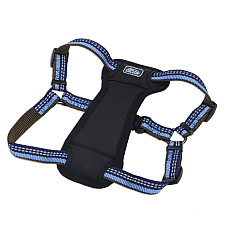 Coastal K9 Explorer Harness КОСТАЛ К9 ЕКСПЛОРЕР світловідбивна шлея з нагрудником для собак 11.3-22.6кг , Сапфіровий см., 2,5 х 50,8-76,2 см см., для собак 11,3-22,6 кг см.
