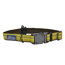 Coastal K9 Explorer Collar КОСТАЛ К9 ЕКСПЛОРЕР світловідбивний нашийник для собак, 2.5х30-46см , Золотарник см., 2,5 x 30-46 см см.
