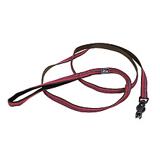 Coastal K9 Explorer Leash КОСТАЛ К9 ЕКСПЛОРЕР світловідбивний повідець для собак, 1.6смХ1.8м , Малиновий см.