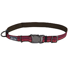 Coastal K9 Explorer Collar КОСТАЛ К9 ЕКСПЛОРЕР світловідбивний нашийник для собак, 2.5х46-66см , Малиновий см., 2,5 x 46-66 см см.