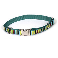 Coastal Pet Attire Ribbon КОСТАЛ РІББОН нашийник для собак, 2.5х46-66см , Мультиколор см., 2,5 х 46-66 см см.