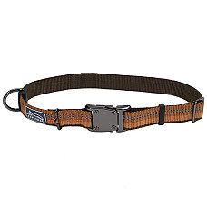 Coastal K9 Explorer Collar КОСТАЛ К9 ЕКСПЛОРЕР світловідбивний нашийник для собак, 2.5х46-66см , Полум’я см., 2,5 x 46-66 см см.