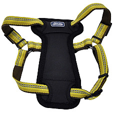Coastal K9 Explorer Harness КОСТАЛ К9 ЕКСПЛОРЕР світловідбивна шлея з нагрудником для собак 2.3-4.5кг , Золотарник см., 1,6 х 30-45 см см., для собак 2,3-4,5 кг см.