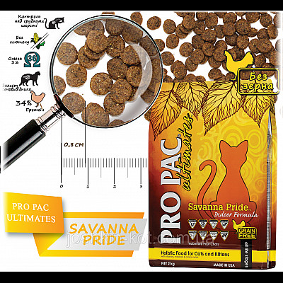 Сухий корм для котів Pro Pac CAT Savanna Pride Indoor Formula 6 кг