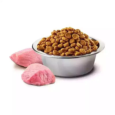 Сухий корм для собак Farmina (Фарміна) N&D Grain Free Pumpkin Lamb & Blueberry Puppy Medium & Maxi з гарбузом, ягням та чорницею, 12 кг