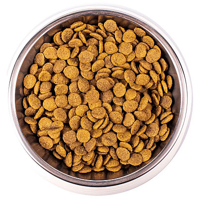 Сухий корм для котів Monge Cat Adult, 400 г