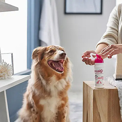 Мусс Ceva Douxo S3 Calm Mousse Дуксо С3 Калм Мусс для кошек и собак с чувствительной, зудящей или раздраженной кожей, 150 мл